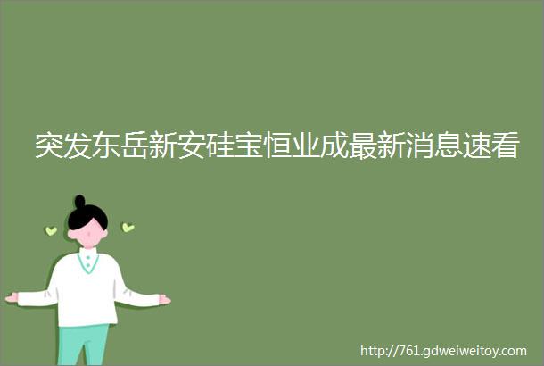 突发东岳新安硅宝恒业成最新消息速看